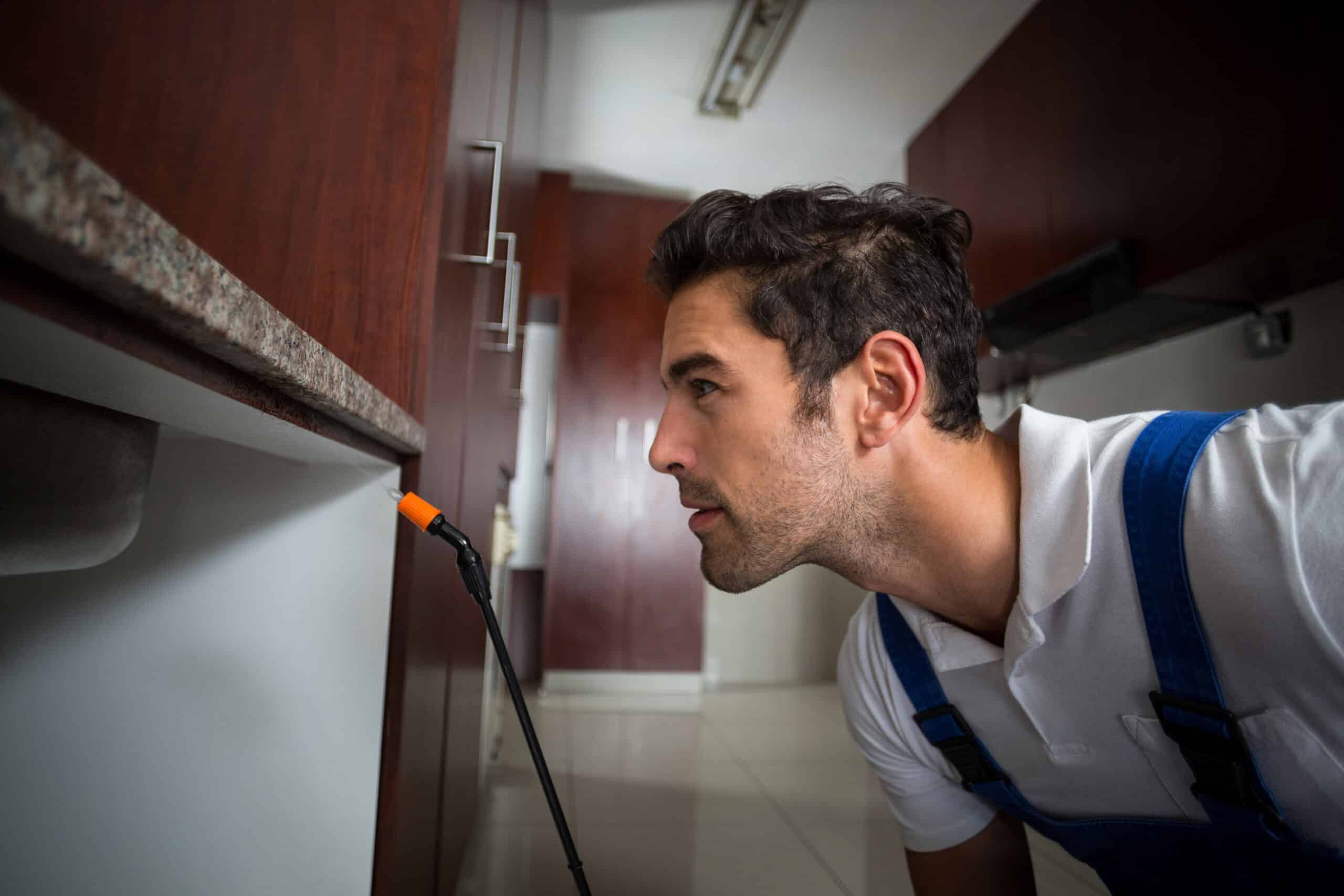 Manual worker concentration below sink with sprayer in kitchen at home