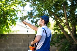 A worker with a mask on spraying conducting some pest control in the outdoors
