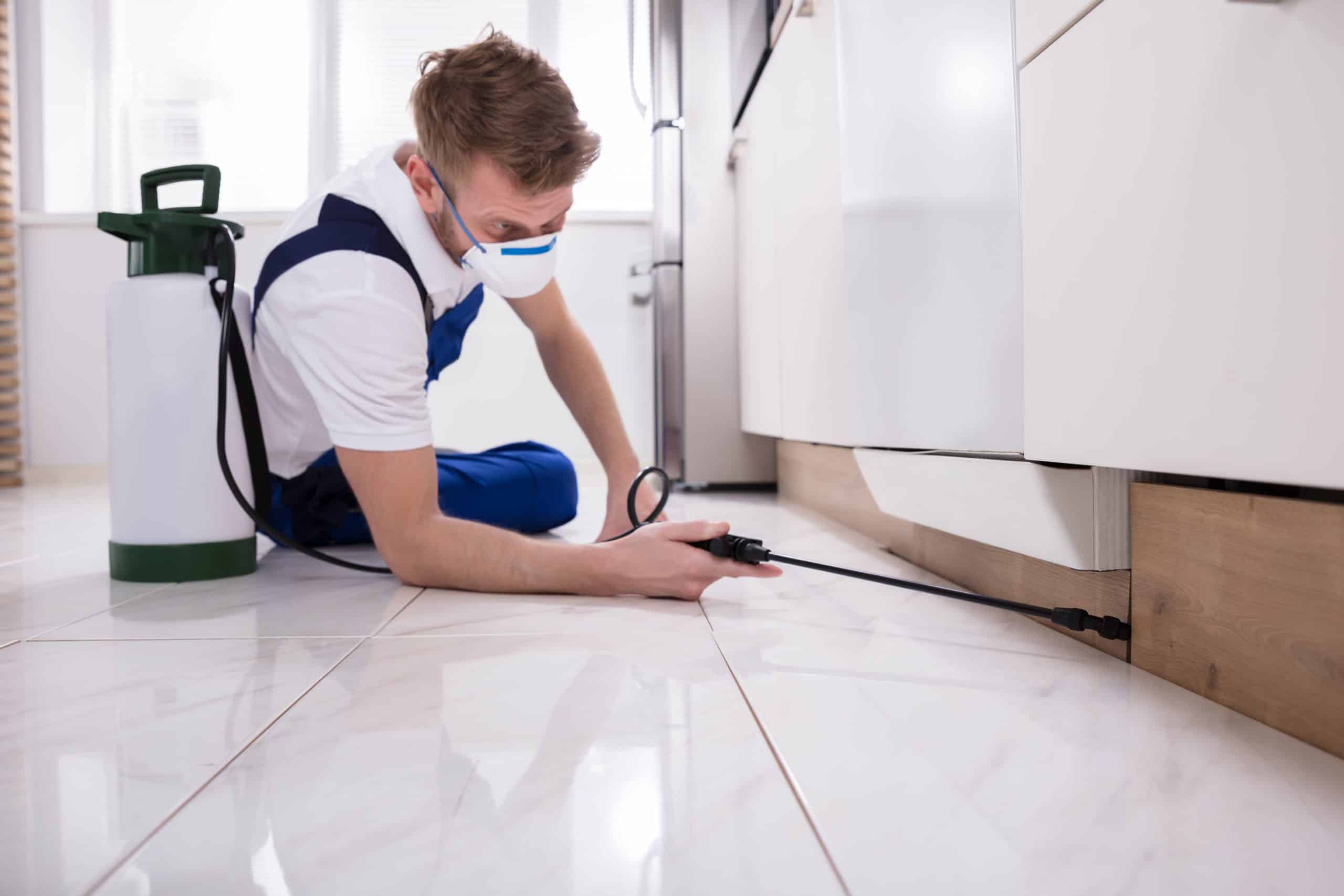 Exterminator Worker Spraying Insecticide Chemical
